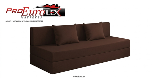 ProEuroLex Premium Sofa Cum Bed